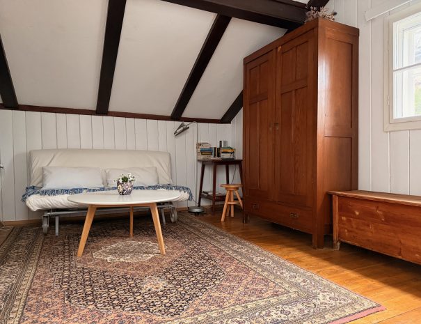 Bed & Breakfast Braunsteiner Apartment 1, Sofa und Couchtisch