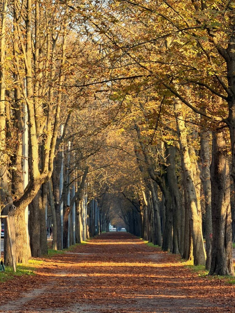 Prater im Herbst